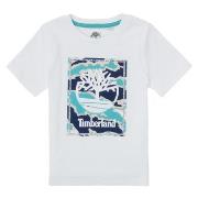 Lyhythihainen t-paita Timberland  NANARO  12 vuotta