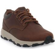 Tennarit Timberland  WINSOR PARK  43