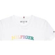 Lyhythihainen t-paita Tommy Hilfiger  -  4 vuotta