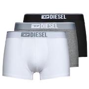 Bokserit Diesel  DAMIEN X3  EU S