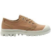 Tennarit Palladium  PAMPA OXFORD  36