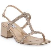 Sandaalit Steve Madden  ALTA ROSE  37