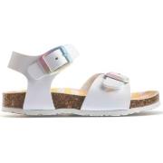 Poikien sandaalit Pablosky  Champion Kids Sandals - Champion Blanco  2...