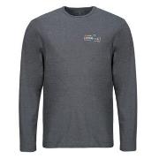 Svetari Patagonia  Mens Light Weight Unity Fitz Wildrise Crew  EU M