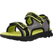 Poikien sandaalit Geox  J SANDAL AIRADYUM B  36