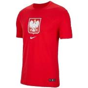 Lyhythihainen t-paita Nike  Poland Evergreen Crest Tee  EU XL