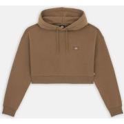 Svetari Dickies  OAKPORT CROPPED HOODIE  EU S