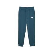 Jogging housut / Ulkoiluvaattee Puma  ESS+ 2 COL LOGO PANTS FL CL  13 ...