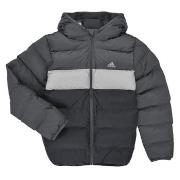 Toppatakki adidas  Synthetic Down Jacket  13 / 14 vuotta