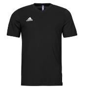 Lyhythihainen t-paita adidas  Entrada 22 T-Shirt  EU XXL