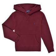 Svetari Polo Ralph Lauren  LS PO HOOD-TOPS-KNIT  7 ans