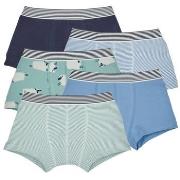 Bokserit Petit Bateau  LOT BOXER X5  4 vuotta