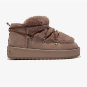 Kengät D.Franklin  Nordic trk fur low  36