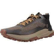 Tennarit Timberland  MOTION ACCESS  41