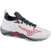 Fitness Mizuno  Wave Momentum 3  41