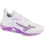 Fitness Mizuno  Wave Momentum 3  38