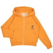 Svetari Timberland  CARDIGAN A CAPUCHE T60327  6 vuotta