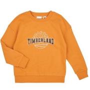 Svetari Timberland  SWEAT T60315  4 vuotta