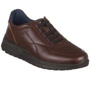 Tennarit Luisetti  LENKKARIT  BARAK  42