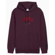 Svetari Puma  CLASSICS PLAY PARIS HOODIE  EU S