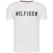 Lyhythihainen t-paita Tommy Hilfiger  UM0UM02011YBR  EU M