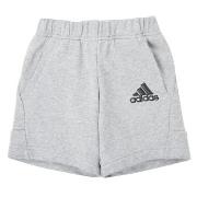 Shortsit & Bermuda-shortsit adidas  B BOS SHORT  6 / 7 vuotta