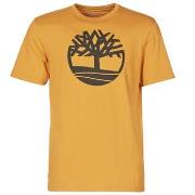 Lyhythihainen t-paita Timberland  SS KENNEBEC RIVER BRAND TREE TEE  EU...