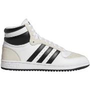 Tennarit adidas  Top Ten Rb  44