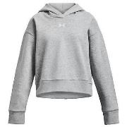 Svetari Under Armour  Sweat Court En Polaire Ua Rival  EU M