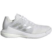 Kengät adidas  Crazyflight  38 2/3