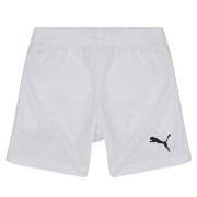 Shortsit & Bermuda-shortsit Puma  TEAMRISE SHORT  EU XS