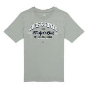 Lyhythihainen t-paita Jack & Jones  JJELOGO TEE SS ONECK 2COL 24/25  1...