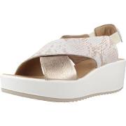 Sandaalit IgI&CO  7665755IG  36