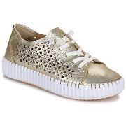 Kengät YOKONO  SINTRA  40