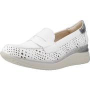 Kengät Pitillos  10433P  37