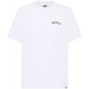 T-paidat & Poolot Dickies  snake ss tee  EU L