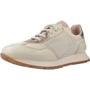 Tennarit Hispanitas  CHV253869  37