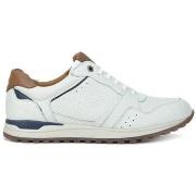 Kengät Kangaroos  SNEAKERS  843  40