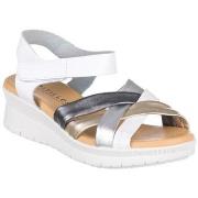 Sandaalit Pitillos  5540  37