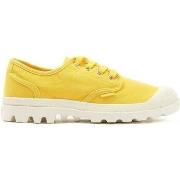 Tennarit Palladium  PAMPA OXFORD  36