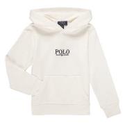 Svetari Polo Ralph Lauren  PO HOOD-KNIT SHIRTS-SWEATSHIRT  EU S