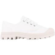 Tennarit Palladium  PAMPA OXFORD  36
