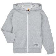 Svetari Timberland  T60446  14 vuotta