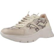 Tennarit Hispanitas  PHV253819  37