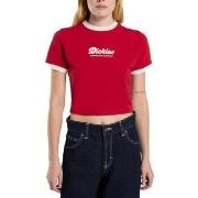 T-paidat & Poolot Dickies  DK0A4Z8I0ER1 LEWISTOWN RINGER  EU XS