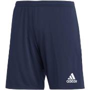 7/8 ja 3/4 housu adidas  adidas Entrada 22 Shorts  EU XXL