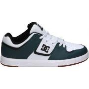 Kengät DC Shoes  ADYS400073 CURE  40