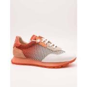 Tennarit Hispanitas  BHV253869  36