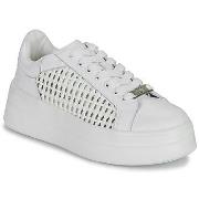 Kengät Dorking  SWIFT  37