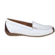 Tennarit Gabor  44.260.21  38